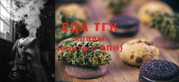 индика Инсар