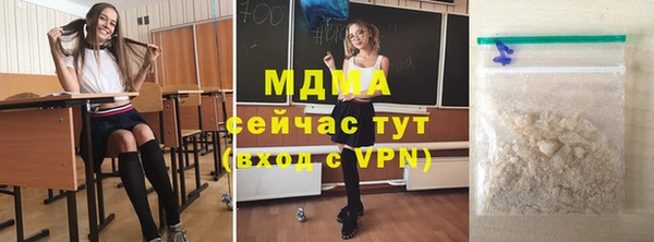 индика Инсар