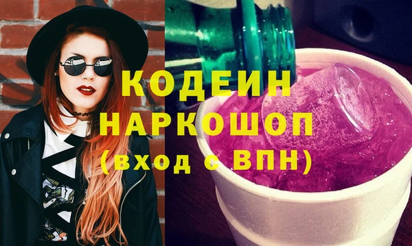 индика Инсар