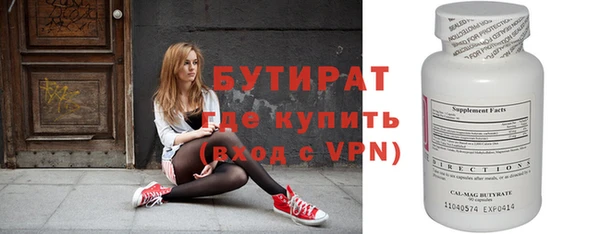 индика Инсар