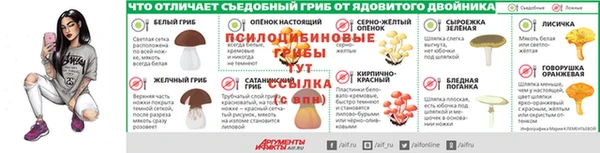 альфа пвп Инта