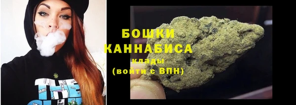 индика Инсар