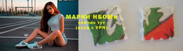индика Инсар