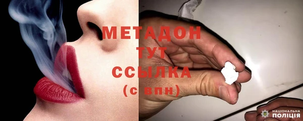 индика Инсар