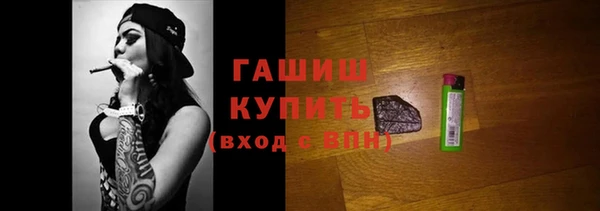 индика Инсар