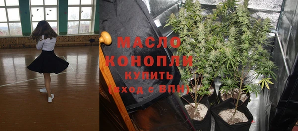 индика Инсар