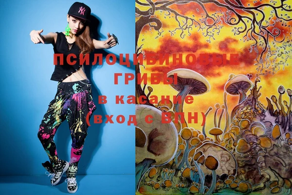бошки Иннополис
