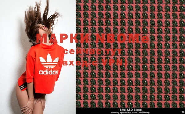 индика Инсар