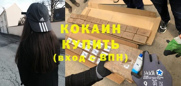 индика Инсар