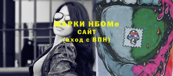 индика Инсар