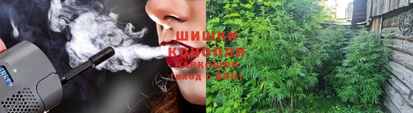 индика Инсар